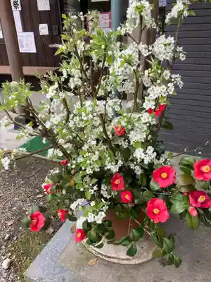 平之荘神社(兵庫県)