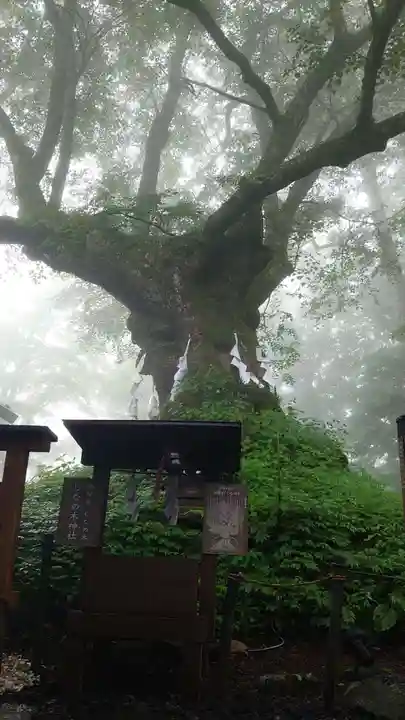 熊野皇大神社(長野県)