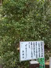 息栖神社(茨城県)