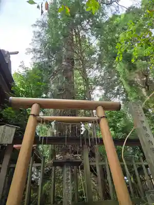 幣立神宮(熊本県)