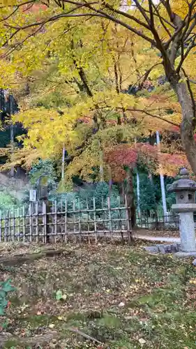 圓光寺(京都府)