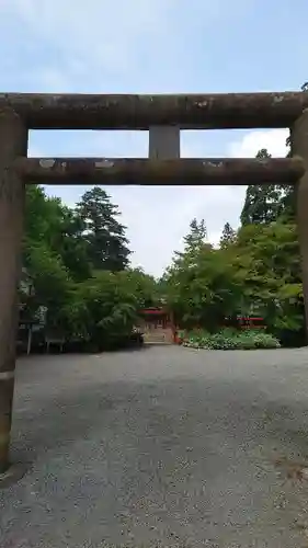 高照神社の鳥居