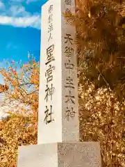 星宮神社の建物その他