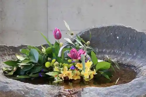 愛宕神社の手水舎