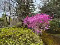 華厳寺(鈴虫寺)の自然