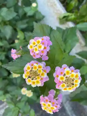 小野神社(東京都)