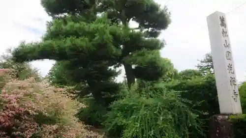 圓光禅寺（円光寺）の自然