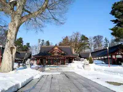 北海道護國神社の本殿・本堂