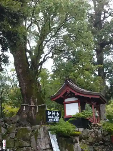 鹿児島神宮(鹿児島県)