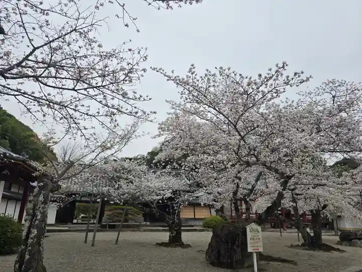 粉河寺(和歌山県)