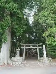 諏訪神社(長野県)