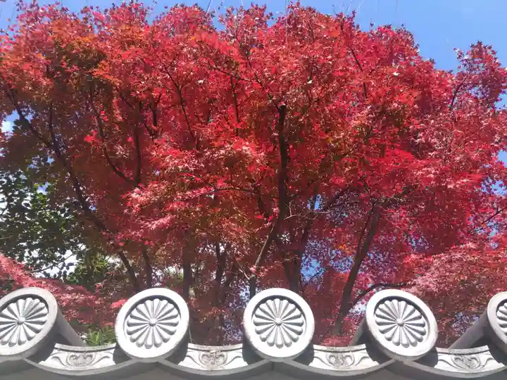 宝鏡寺(京都府)