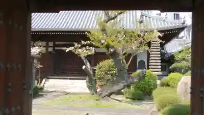 隆専寺の本殿・本堂