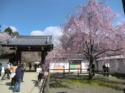 醍醐寺(京都府)