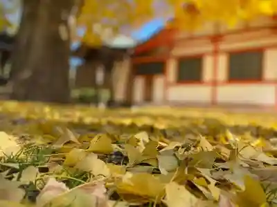 姪浜住吉神社(福岡県)