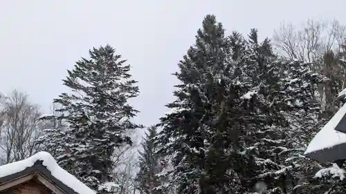相馬妙見宮　大上川神社の自然
