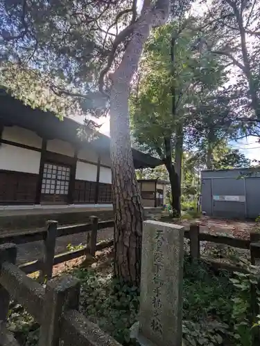淨眞寺(東京都)