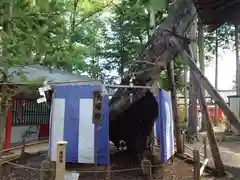 生島足島神社(長野県)