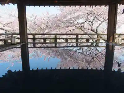 園城寺（三井寺）のその他建物