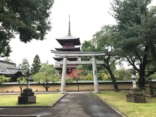 弘前八坂神社の鳥居