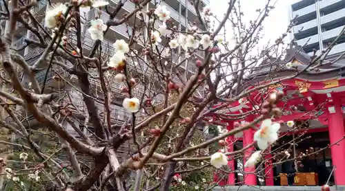 成子天神社の自然