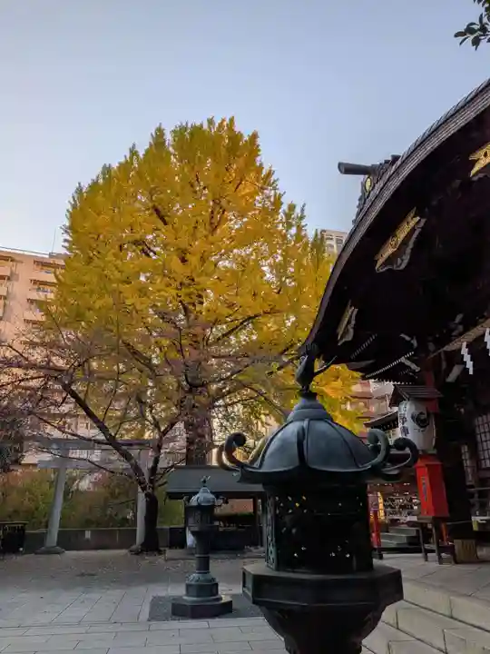 熊野神社(東京都)