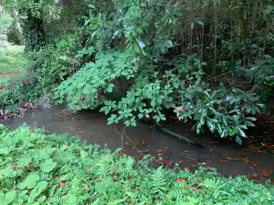 安房大杉神社のその他建物