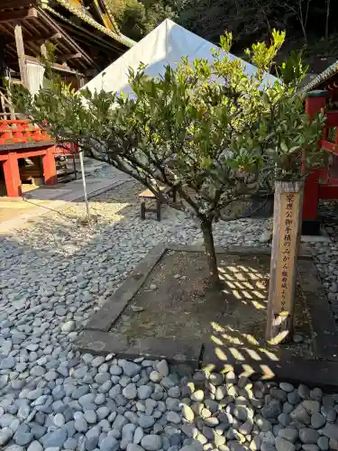 久能山東照宮の{uncategorized: "未分類", other: "その他", undefined: "問題あり", building: "その他建物", grave: "お墓", sacred_gate: "鳥居", guardian: "狛犬", statue: "像", buddha: "仏像", history: "歴史", nature: "自然", garden: "庭園", animal: "動物", pagoda: "塔", temizu: "手水舎", mountain_gate: "山門・神門", sanctuary: "本殿・本堂", subordinate: "末社・摂社", art: "芸術", scenery: "景色", jizo: "地蔵", ema: "絵馬", goshuin: "御朱印", omikuji: "おみくじ", items: "授与品その他", amulet: "お守り", goshuincho: "御朱印帳", eats: "食事", festival: "お祭り", votive_dance: "神楽", shichigosan: "七五三参", wedding: "結婚式", experience: "体験その他", initially: "初詣", around: "周辺", anti_infection: "感染症対策"}
