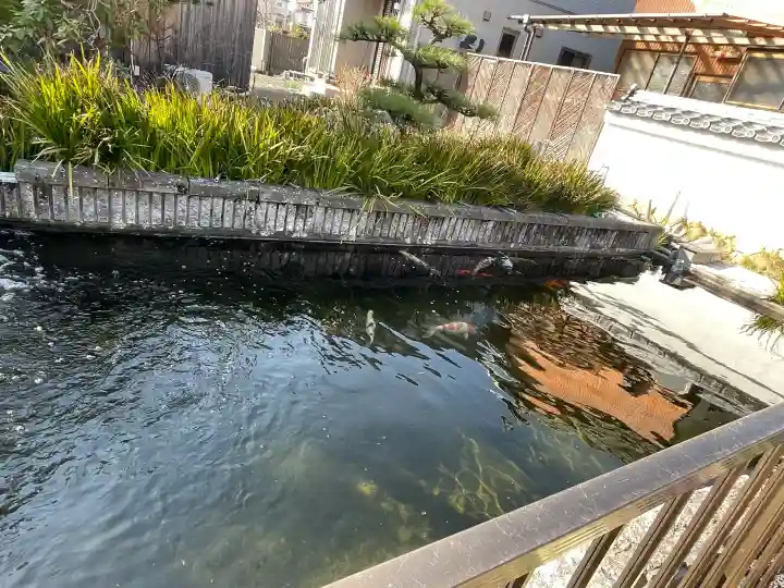 誓昌院の{uncategorized: "未分類", other: "その他", undefined: "問題あり", building: "その他建物", grave: "お墓", sacred_gate: "鳥居", guardian: "狛犬", statue: "像", buddha: "仏像", history: "歴史", nature: "自然", garden: "庭園", animal: "動物", pagoda: "塔", temizu: "手水舎", mountain_gate: "山門・神門", sanctuary: "本殿・本堂", subordinate: "末社・摂社", art: "芸術", scenery: "景色", jizo: "地蔵", ema: "絵馬", goshuin: "御朱印", omikuji: "おみくじ", items: "授与品その他", amulet: "お守り", goshuincho: "御朱印帳", eats: "食事", festival: "お祭り", votive_dance: "神楽", shichigosan: "七五三参", wedding: "結婚式", experience: "体験その他", initially: "初詣", around: "周辺", anti_infection: "感染症対策"}