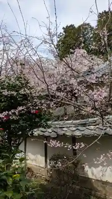 十輪寺(京都府)