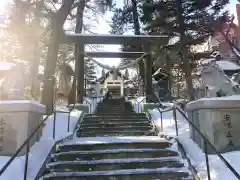 手稲神社の鳥居