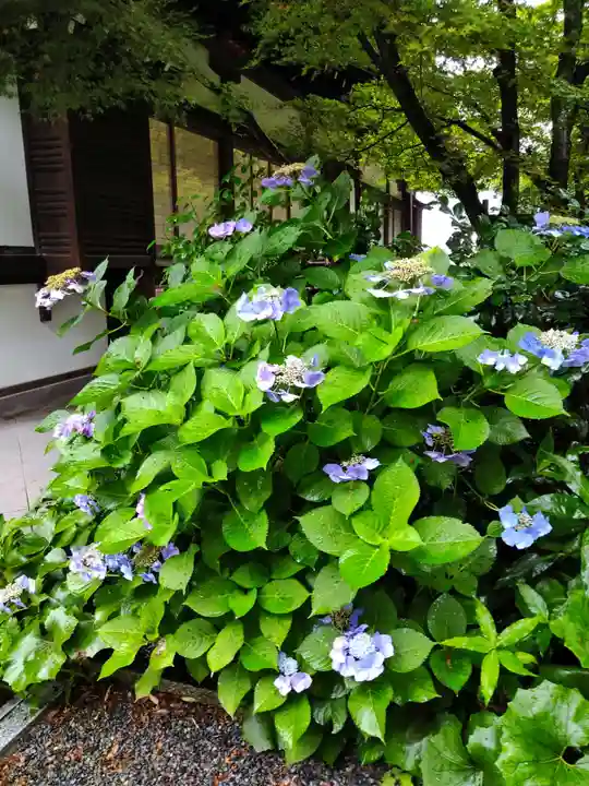 将軍塚青龍殿(青蓮院門跡)(京都府)