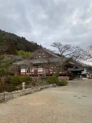 矢田寺(奈良県)