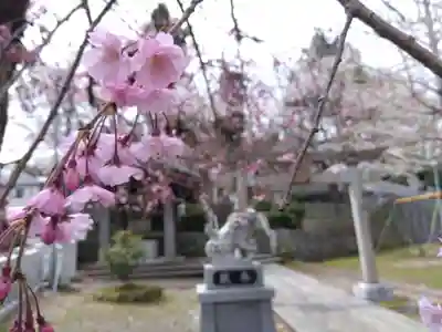 熊野神社(福井県)
