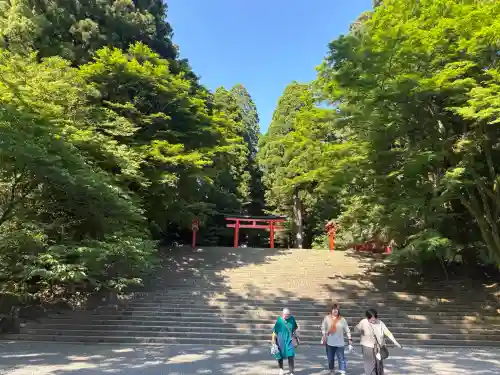 霧島神宮の{uncategorized: "未分類", other: "その他", undefined: "問題あり", building: "その他建物", grave: "お墓", sacred_gate: "鳥居", guardian: "狛犬", statue: "像", buddha: "仏像", history: "歴史", nature: "自然", garden: "庭園", animal: "動物", pagoda: "塔", temizu: "手水舎", mountain_gate: "山門・神門", sanctuary: "本殿・本堂", subordinate: "末社・摂社", art: "芸術", scenery: "景色", jizo: "地蔵", ema: "絵馬", goshuin: "御朱印", omikuji: "おみくじ", items: "授与品その他", amulet: "お守り", goshuincho: "御朱印帳", eats: "食事", festival: "お祭り", votive_dance: "神楽", shichigosan: "七五三参", wedding: "結婚式", experience: "体験その他", initially: "初詣", around: "周辺", anti_infection: "感染症対策"}
