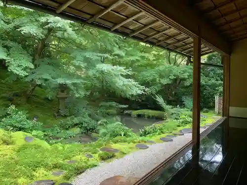 光明寺瑠璃光院の庭園