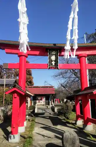 石和八幡宮(官知物部神社)の鳥居