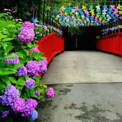 普門寺(切り絵御朱印発祥の寺)(愛知県)