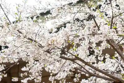 坐摩神社(大阪府)