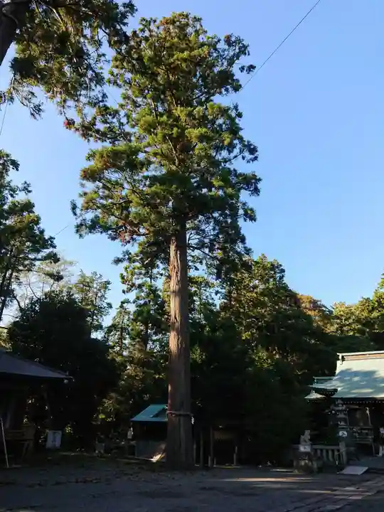 川勾神社の自然