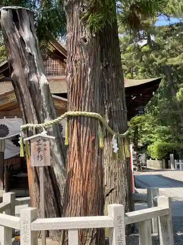 建部大社の自然