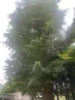 神門神社(兵庫県)