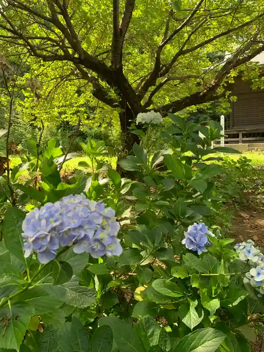 日光鹿島神社の自然