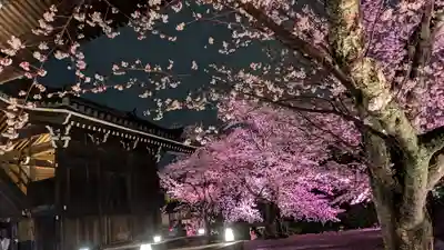知恩院(京都府)