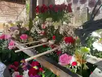 彌彦神社 (伊夜日子神社)の手水舎