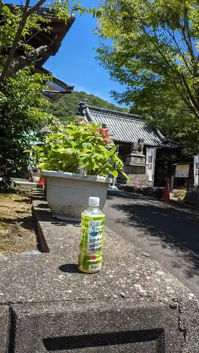 國分八幡宮(香川県)
