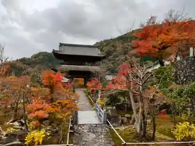 行基寺のその他建物