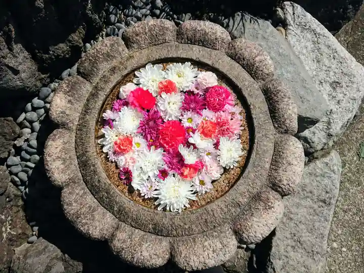 埼玉厄除け開運大師・龍泉寺(切り絵御朱印発祥の寺)の手水舎