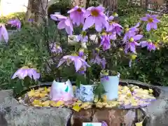 伊和志津神社の手水