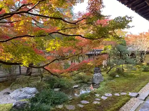 禅林寺（永観堂）の庭園